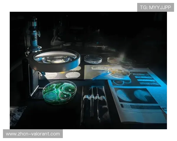 观众从被动接收者变为参与式内容共同创作者，影响内容形态